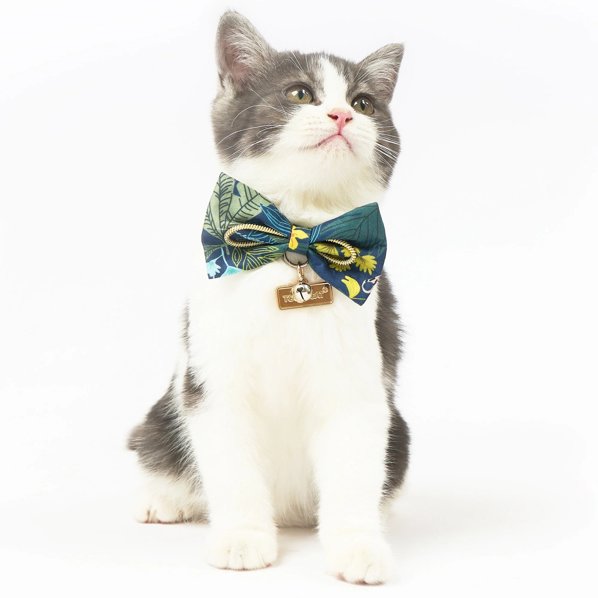 Touchcat ® Safari Patterned Designer Cat Collar with Bow