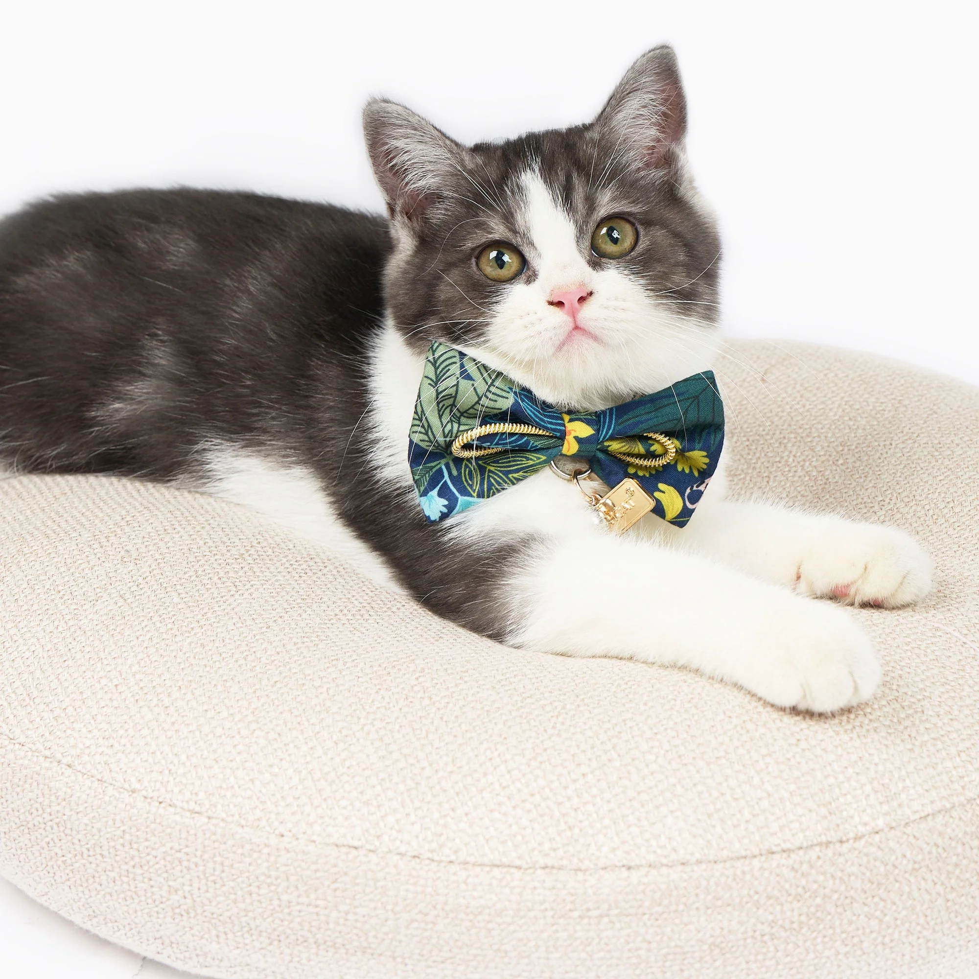 Touchcat ® Safari Patterned Designer Cat Collar with Bow - Image 3