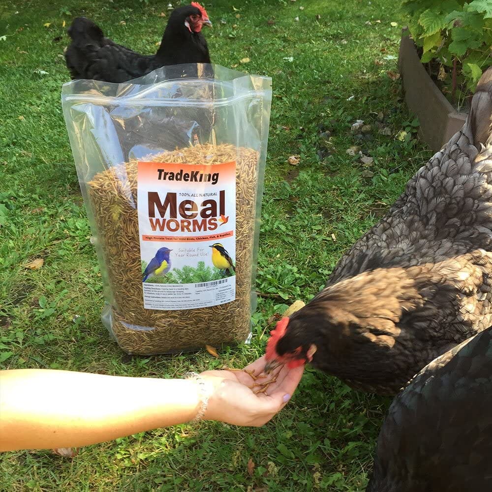 Tradeking Tradeking Dried Mealworms Wild Bird Food - 2 Lbs - Image 8