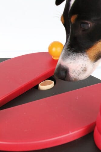 Trixie Pet Products Push-Away Level-2 Strategy Puzzle Feeding Interactive Dog Toy - Image 2