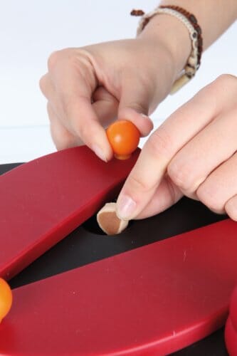 Trixie Pet Products Push-Away Level-2 Strategy Puzzle Feeding Interactive Dog Toy - Image 3