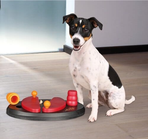 Trixie Pet Products Push-Away Level-2 Strategy Puzzle Feeding Interactive Dog Toy - Image 4