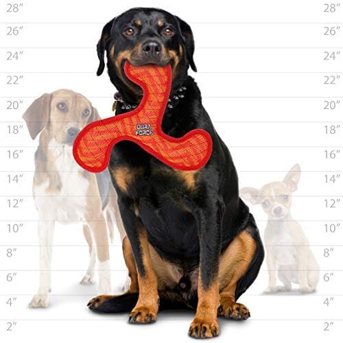 Tuffy's Duraforce Boomerang Zigzag Nylon Fetch Dog Toy - Red - Image 5