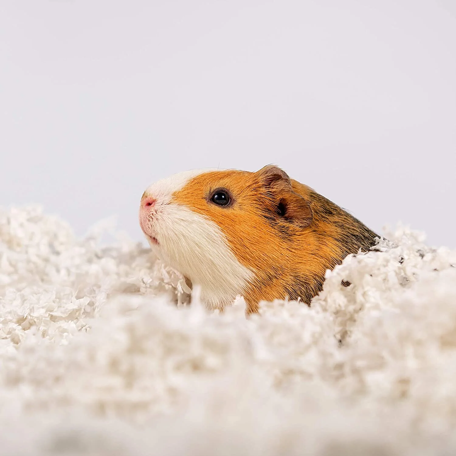 Uber Soft Paper Pet Bedding - White - 36 L - Image 5