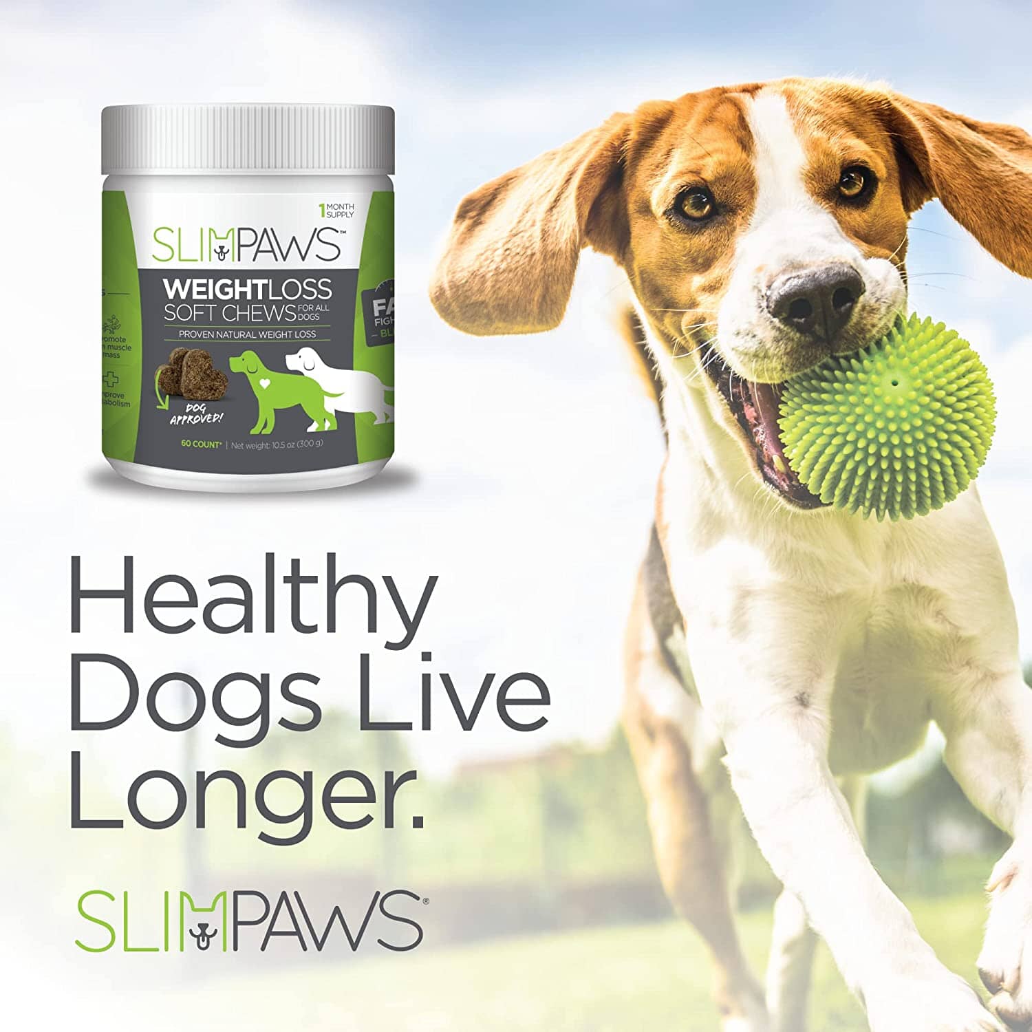 Vetality Slim Paws Weight Loss Soft Chews for All Dogs - Chicken - 60 Count - Image 2