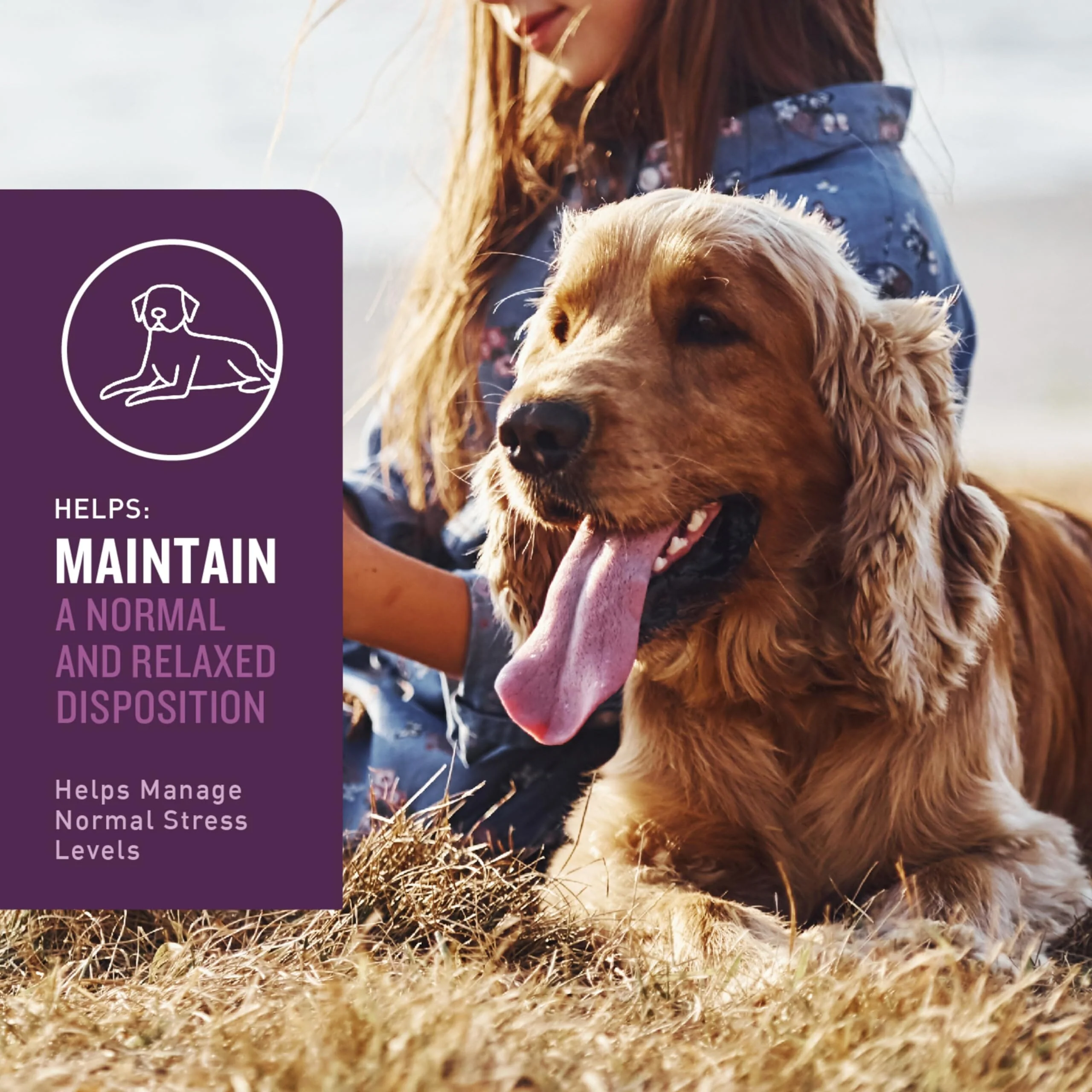 VETIQ Calming Hickory Smoke Flavored Soft Chew Dog Supplements - 60 Count - Image 4
