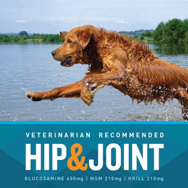 VETIQ Hip and Joint Chicken Flavored Soft Chew Dog Supplements - 60 Count - Image 3