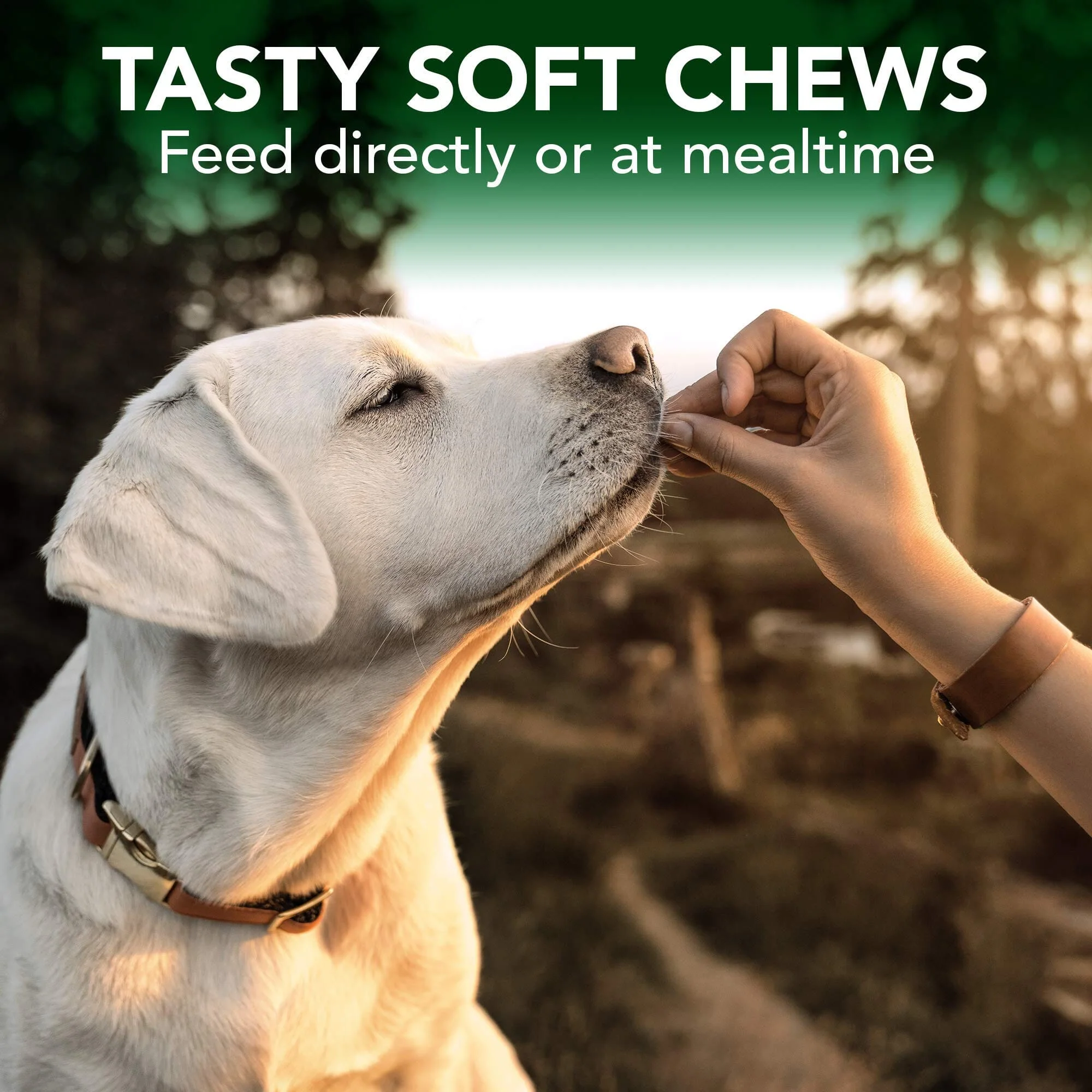 Vet's Best Allergy Seasonal Allergies Soft Chew Dog Supplements - 4.2 Oz - 30 Count - Image 4