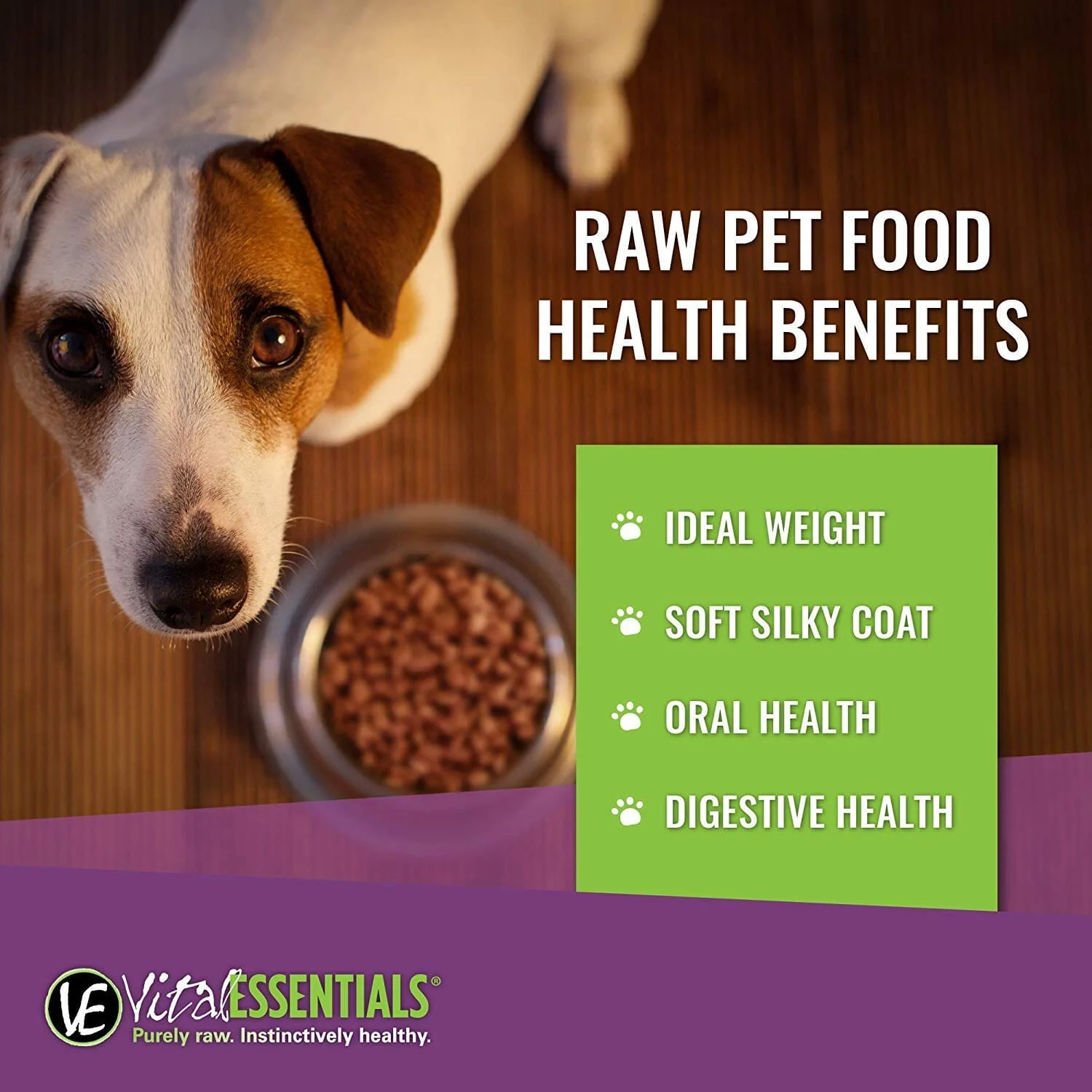 Vital Essential's Grain-Free Minnows Freeze-Dried Dog Treats - 1 Oz - Image 3