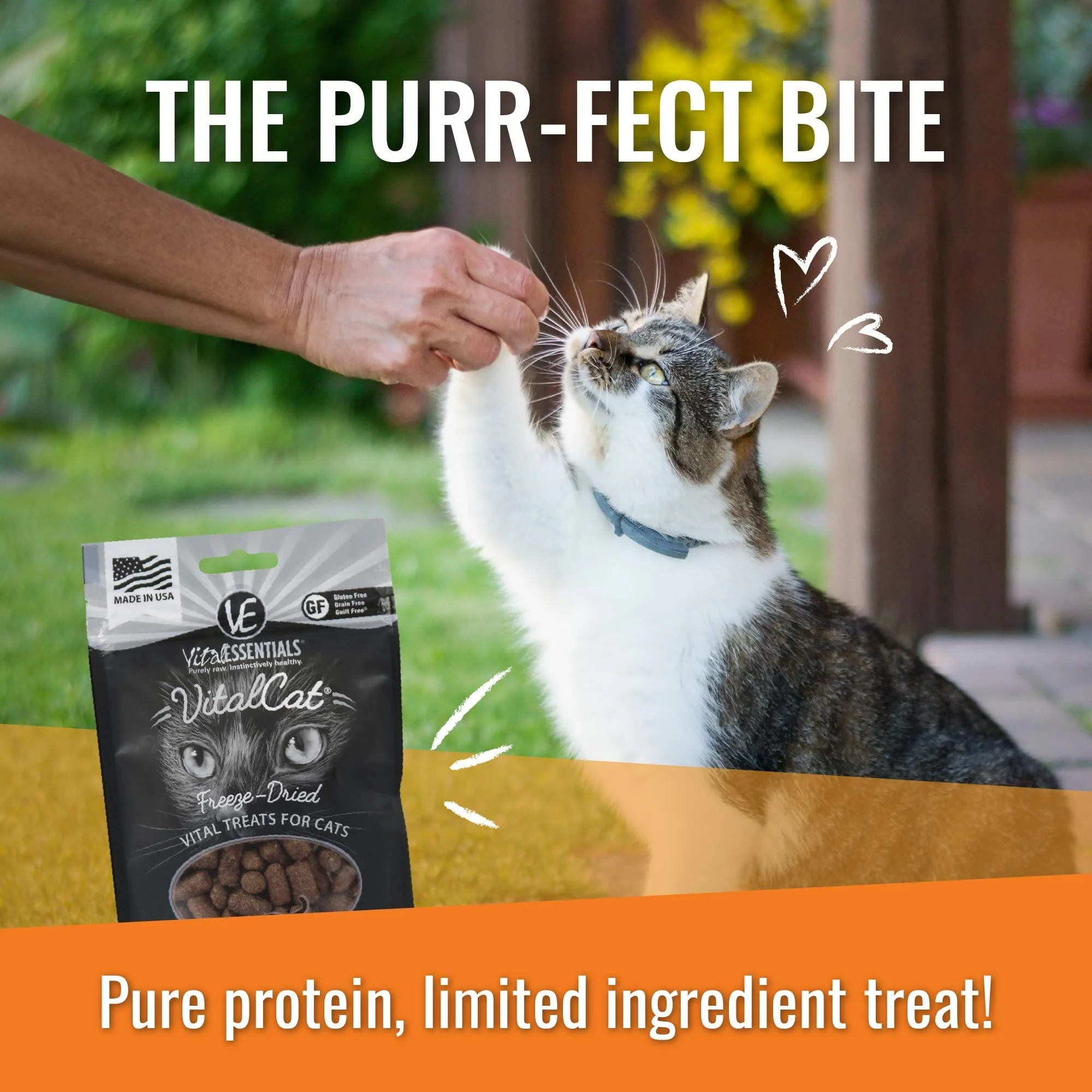 Vital Essential's Grain-Free Salmon Bites Freeze-Dried Crunchy Dog Treats - 2.5 Oz - Image 2