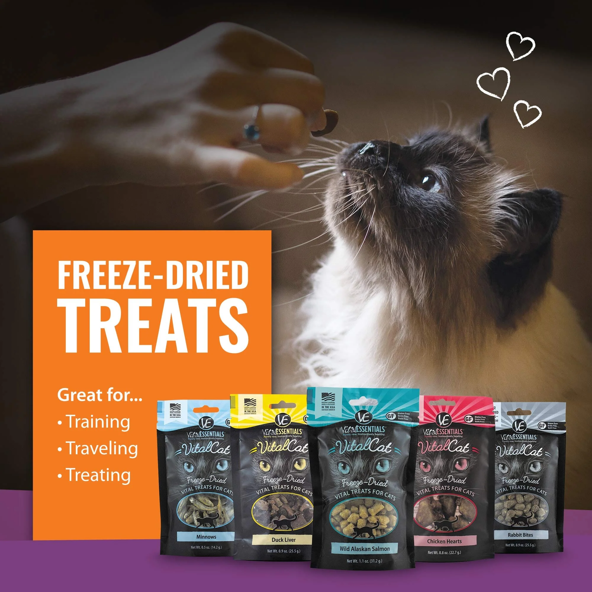 Vital Essential's Grain-Free Salmon Bites Freeze-Dried Crunchy Dog Treats - 2.5 Oz - Image 4