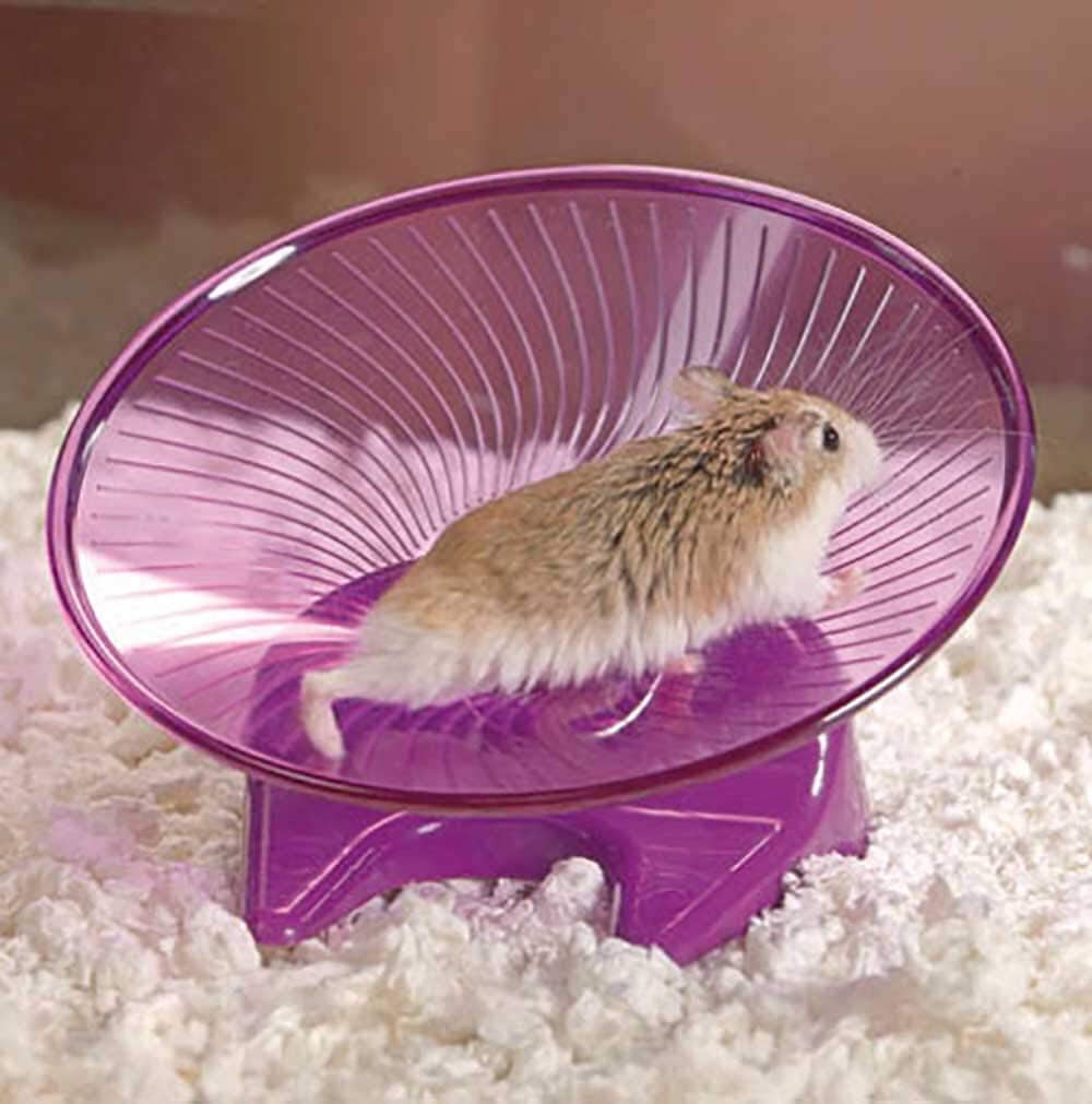 Ware Flying Saucer Toy Small Animal Wheel - Small - Image 3