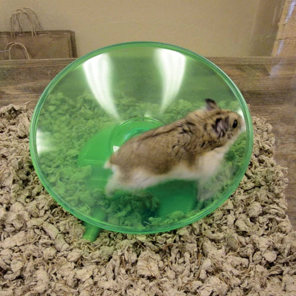 Ware Flying Saucer Toy Small Animal Wheel - Small - Image 4