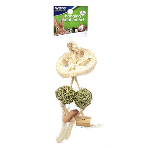 Ware Hanging Loofah Bunch Small Animal Chewy Treats -