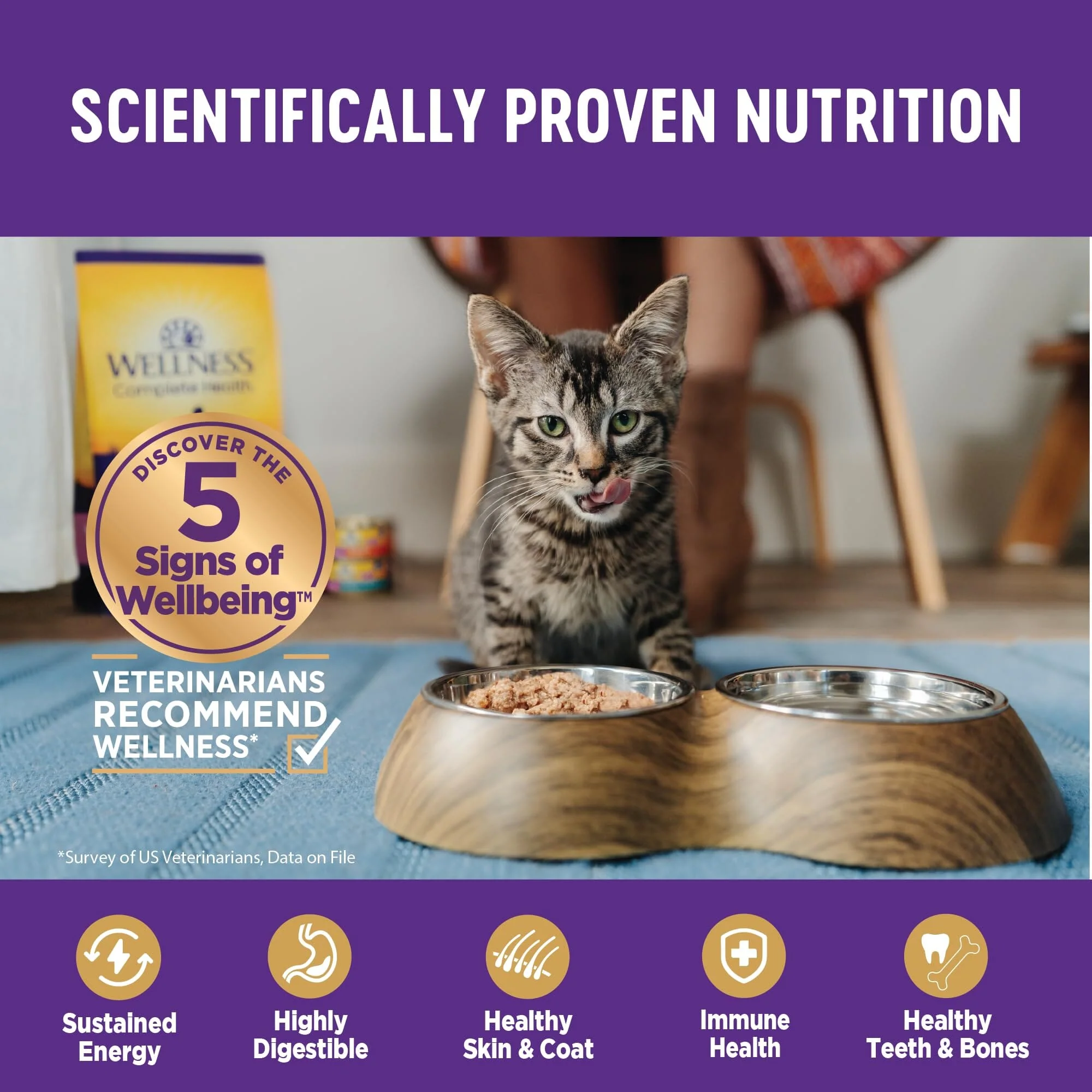 Wellness Complete Health Age Advantage Grain-Free Tuna and Salmon Pate Entrée Adult Canned Cat Food - 3 Oz - Case of 24 - Image 4