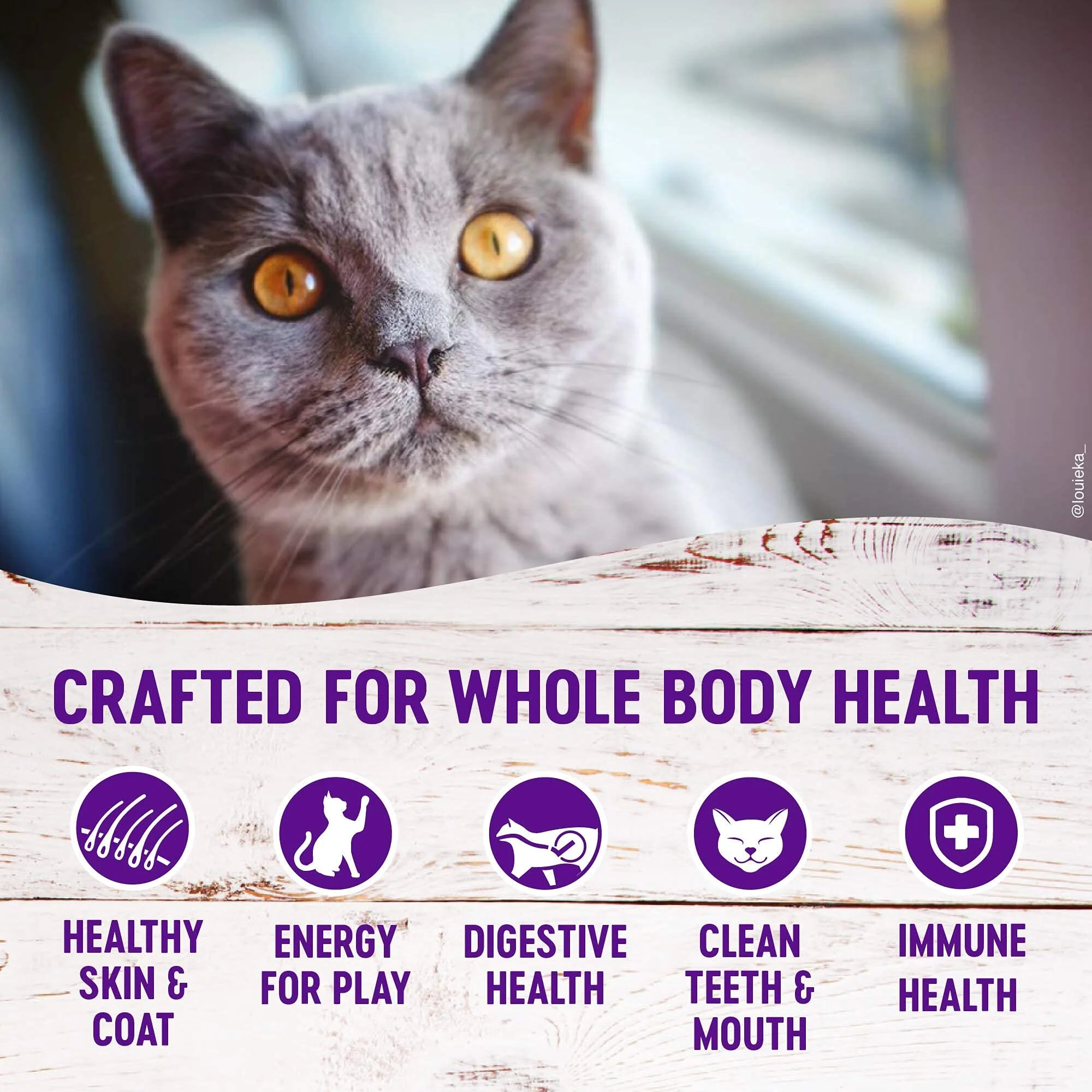 Wellness Complete Health Healthy Weight Grain-Free Chicken and Turkey Indoor Dry Cat Food - 11.5 Lbs - Image 3