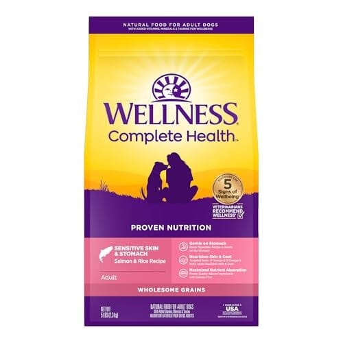 Wellness Complete Health Sensitive Skin and Stomach Wholesome Grains Salmon and Rice Adult Dry Dog Food - 5 Lbs