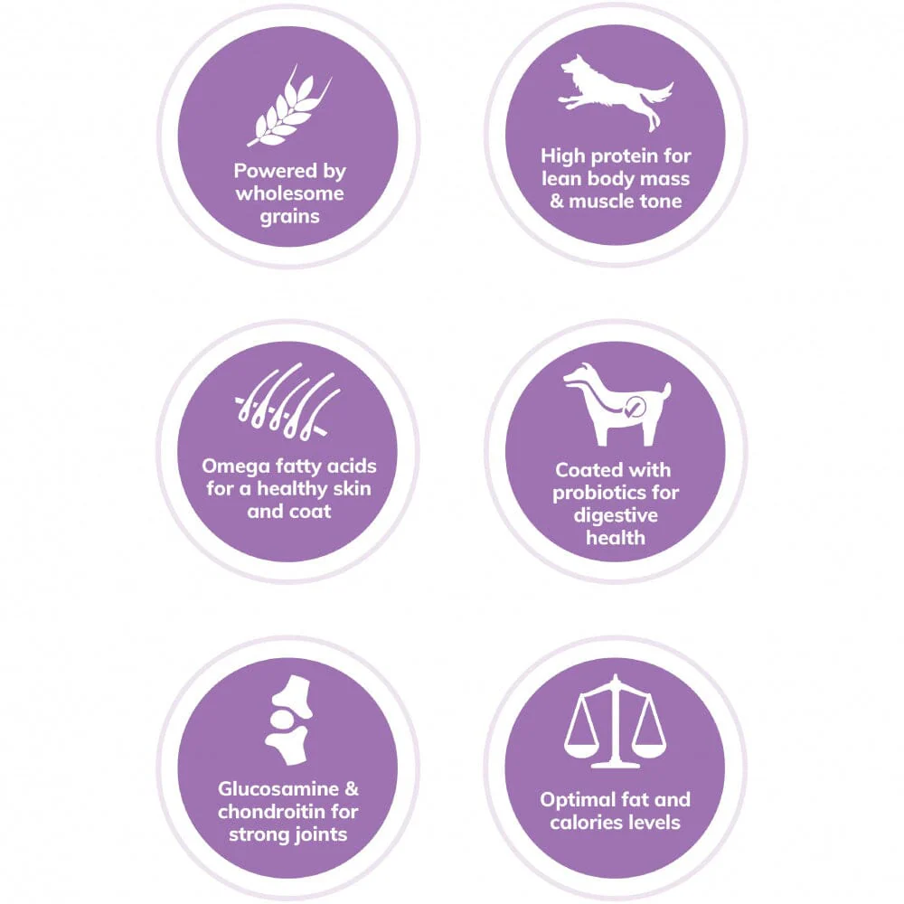 Wellness CORE High Protein Wholesome Grains Puppy Recipe Dry Dog Food - Image 2