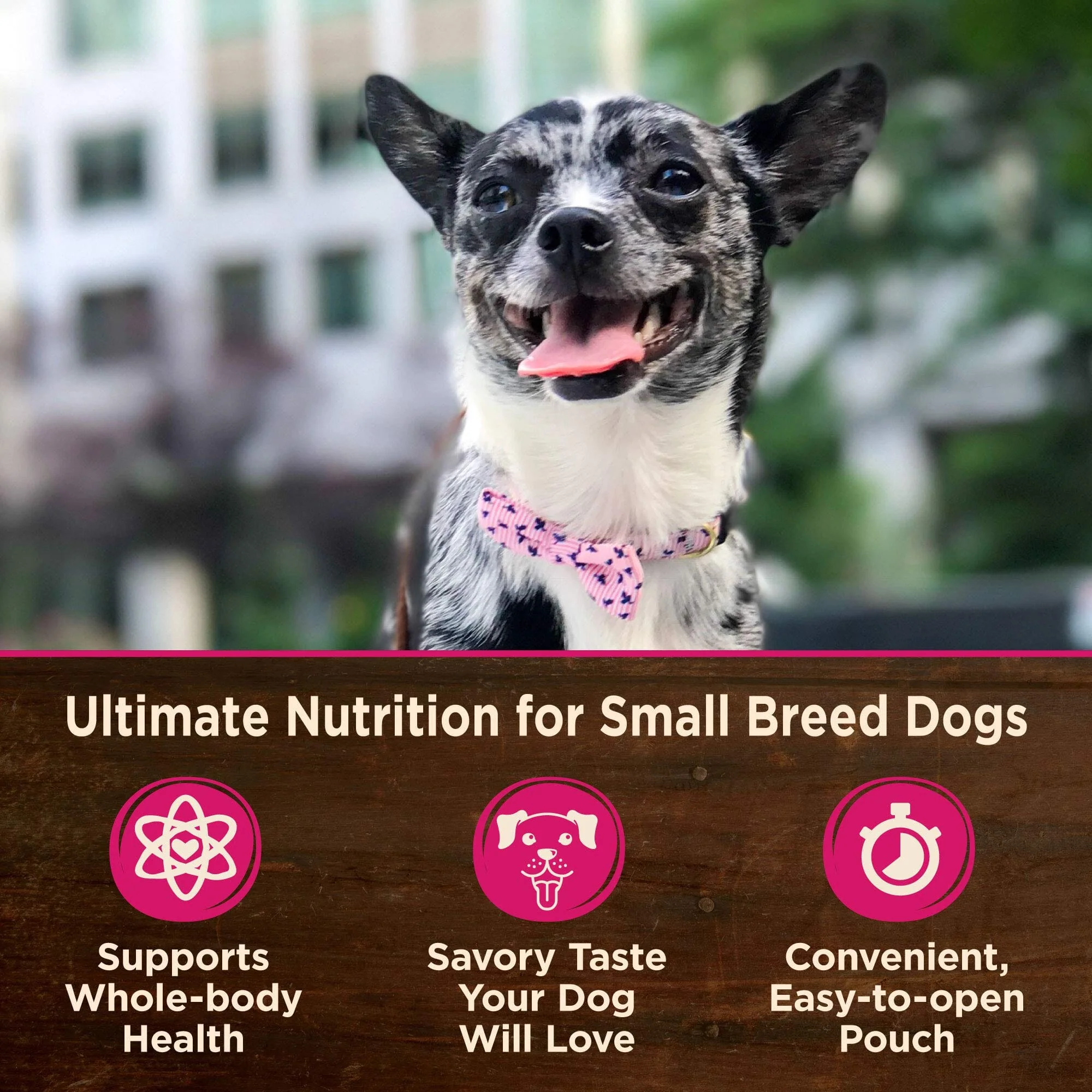 Wellness Core Mini Meals Grain-Free Chicken Pate Entrée Small-Breed Adult Wet Dog Food Pouch - 3 Oz - Case of 12 - Image 3