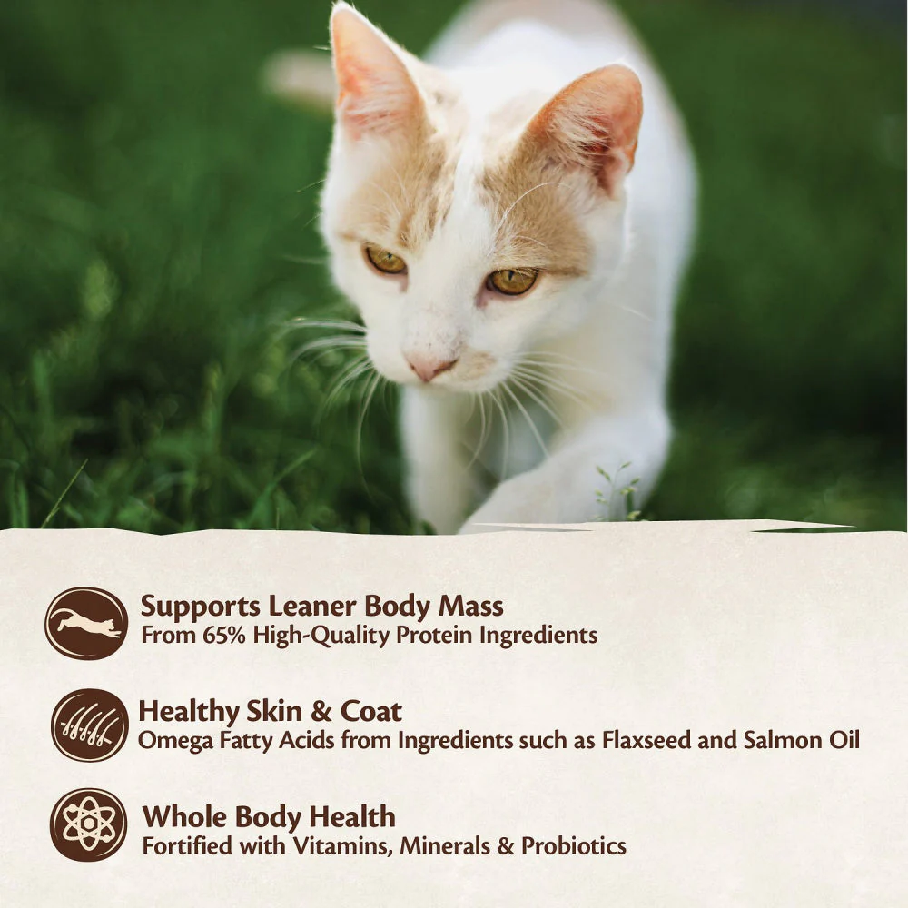 Wellness CORE Natural Grain Free Original Turkey, Chicken, Whitefish & Herring Recipe Dry Cat Food - Image 4