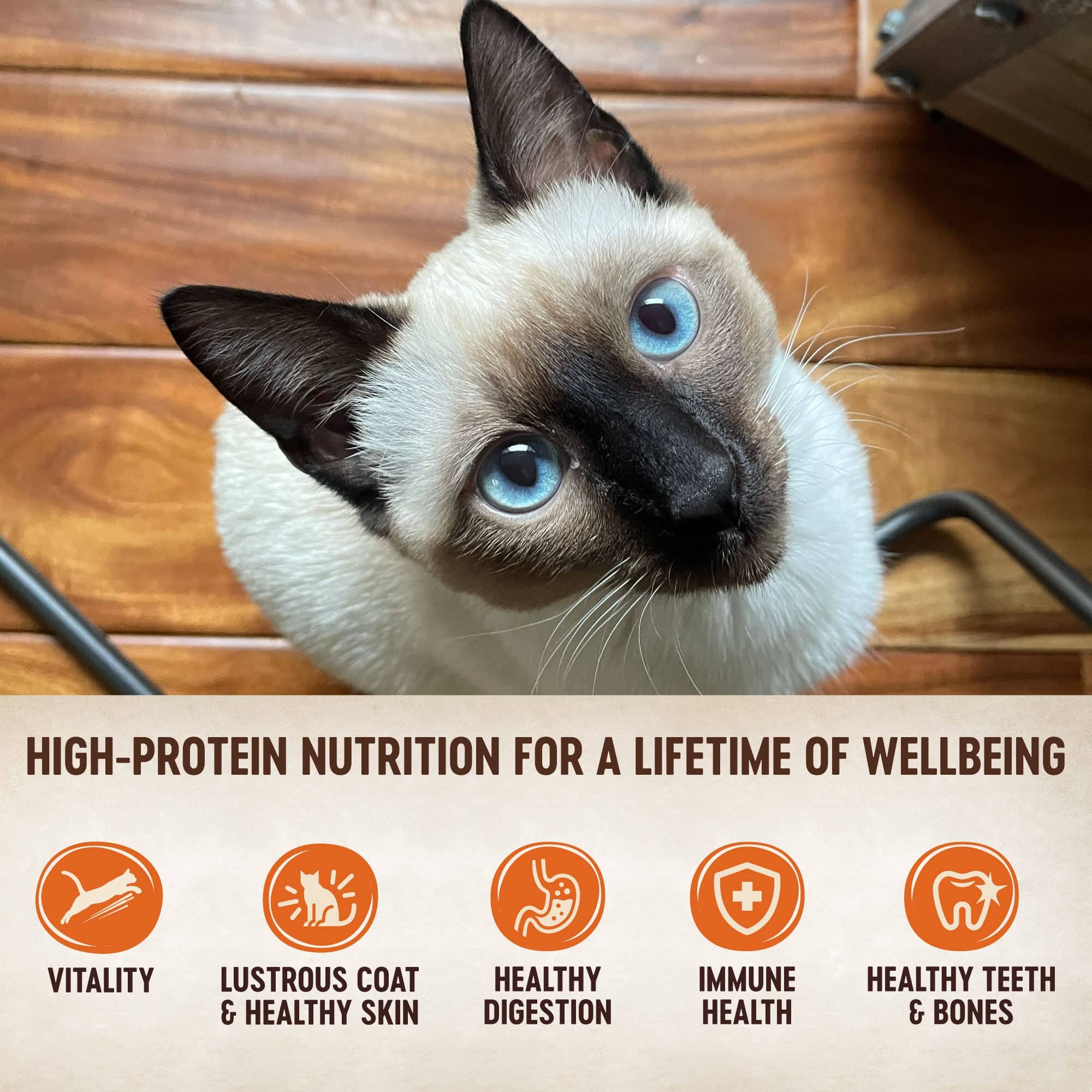Wellness Core Tiny Tasters Grain-Free Chicken Smooth Pate Wet Cat Food Pouch - 1.75 Oz - Case of 12 - Image 4