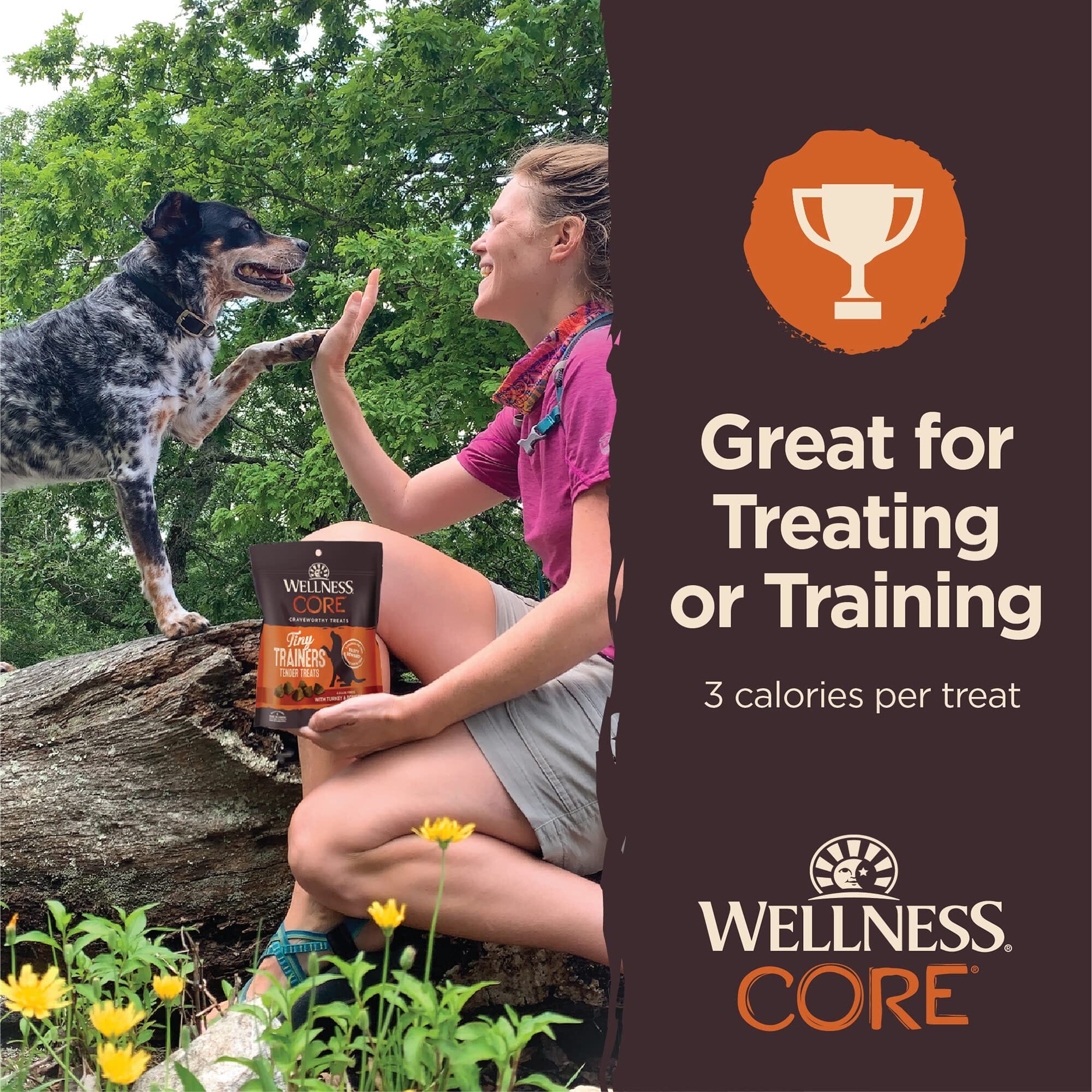 Wellness Core Tiny Trainers Grain-Free Tender Turkey and Pomegranate Soft and Chewy Training Dog Treats - 6 Oz - Image 4