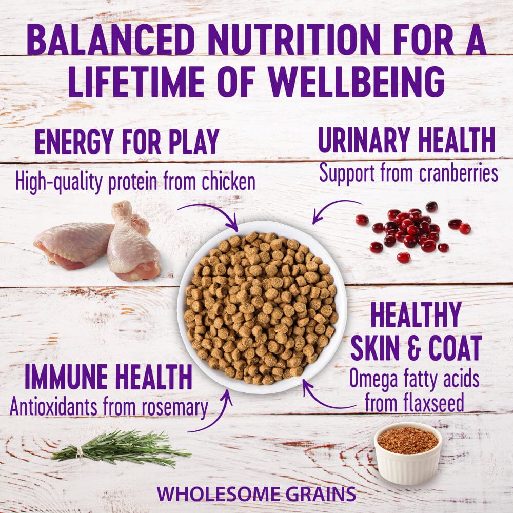 Wellness Natural Hairball Control Recipe Dry Cat Food - Image 4
