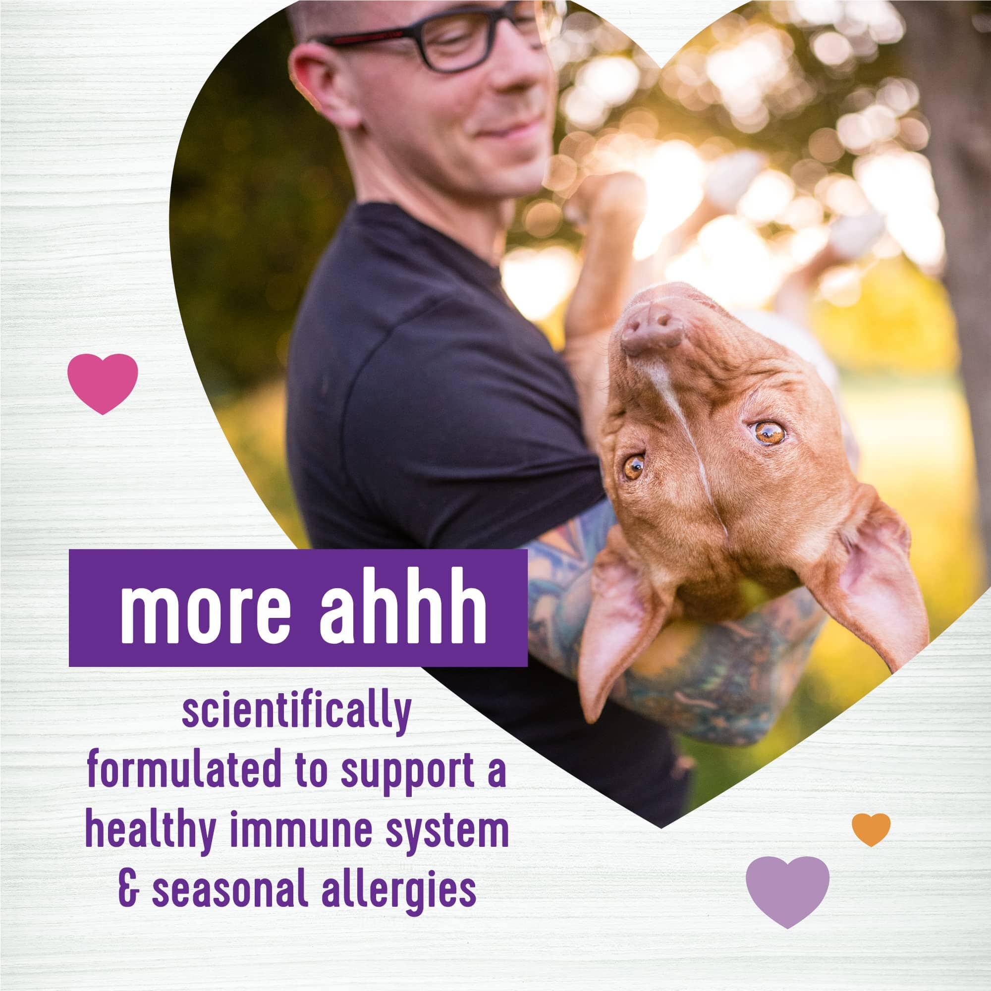 Wellness Shield Immune and Allergy Support Salmon Flavor Soft Chew Dog Supplements - 45 Count - Image 2