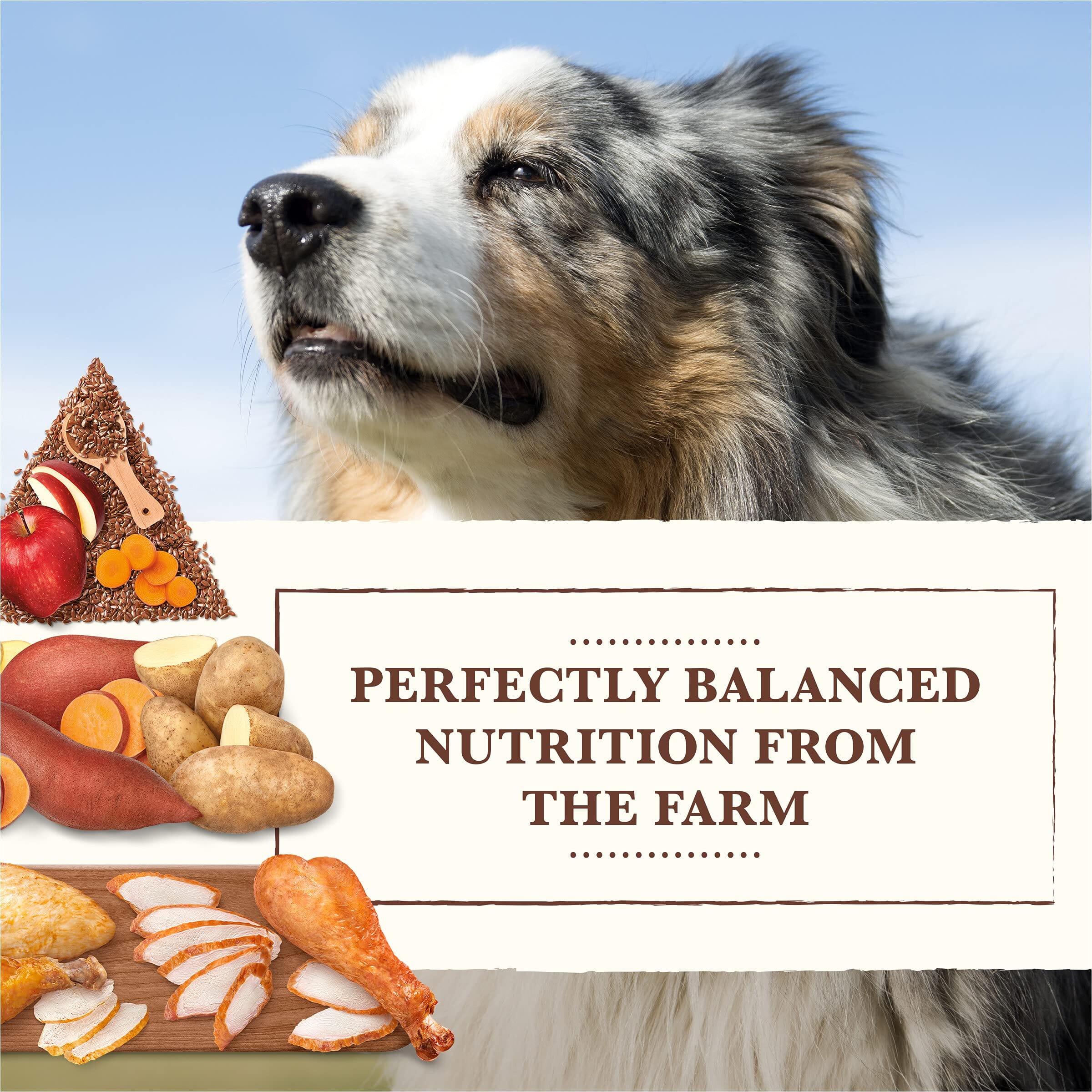 Whole Earth Farms Grain-Free Chicken and Turkey Dry Dog Food - 4 Lbs - Image 3