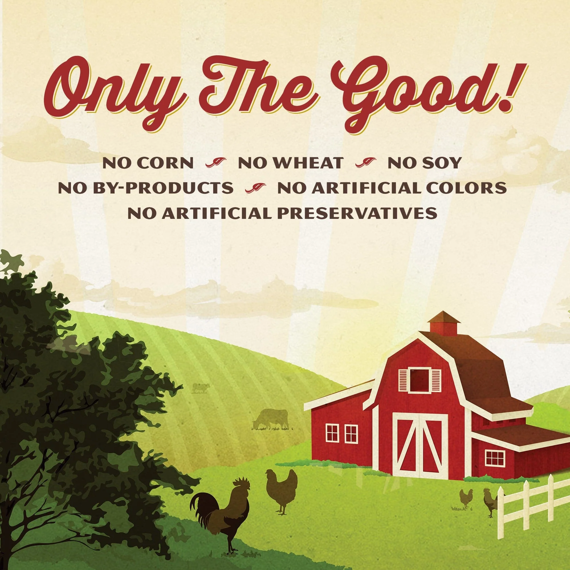 Whole Earth Farms Grain-Free Chicken and Turkey Dry Dog Food - 4 Lbs - Image 9