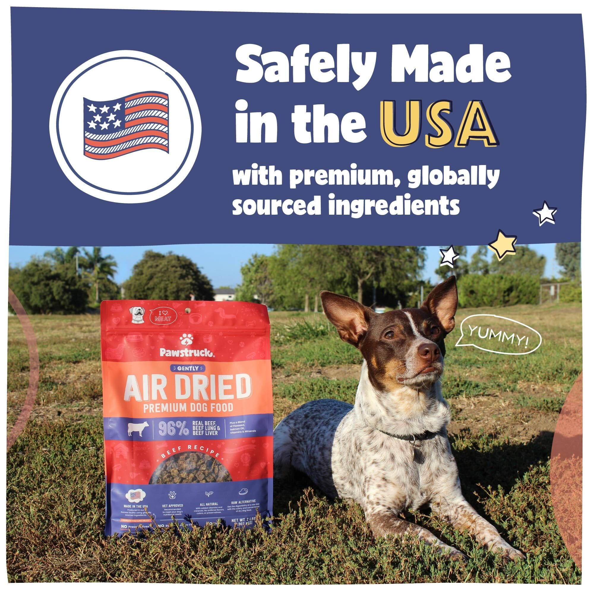 Zeal Grain-Free 96% Beef Recipe Gently Air-Dried Dog Food - 5.5 Lbs - Image 5