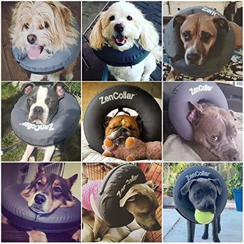 ZenPet ZenCollar Inflatable Recovery Collar - Extra Large - Image 6