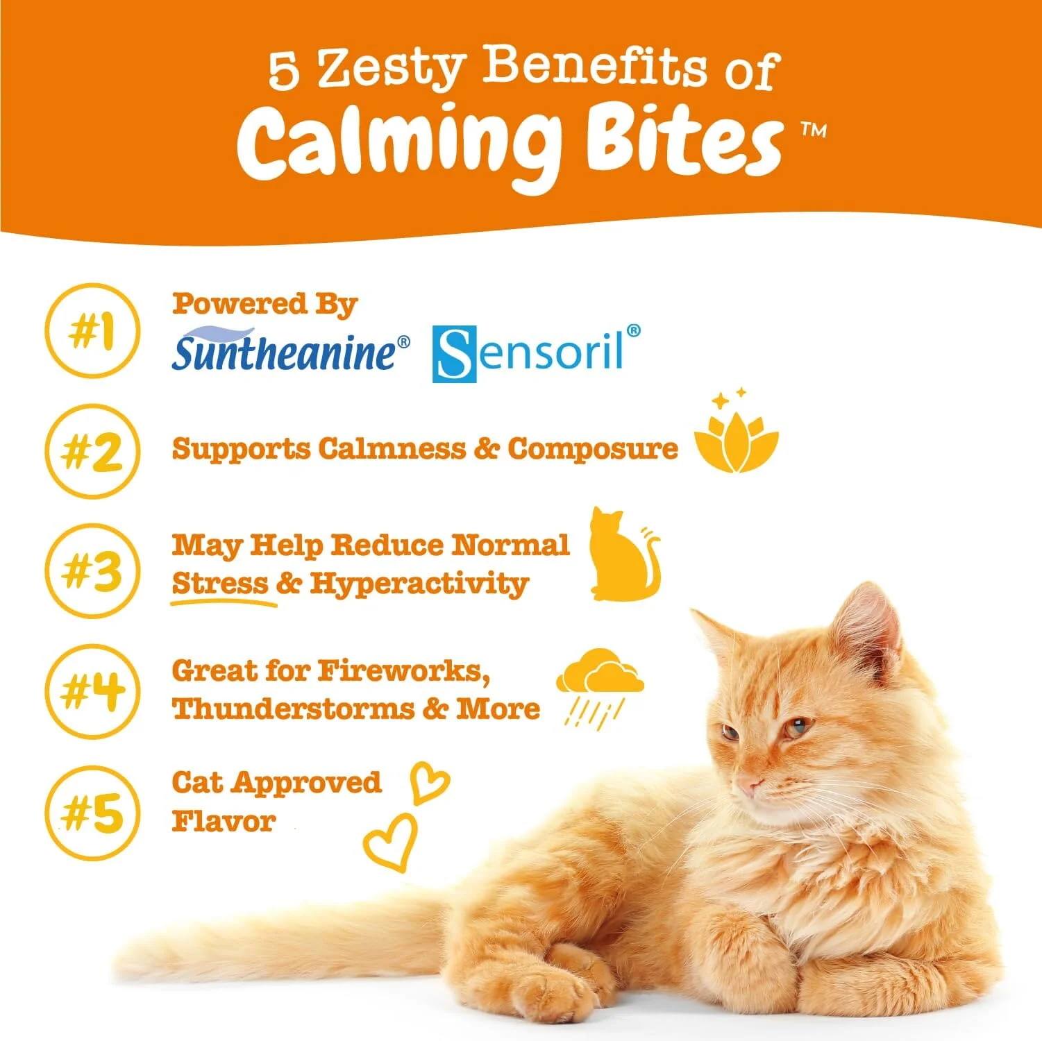Zesty Paws Calming Bites Salmon Soft Chew Cat Supplements - 60 Count - Image 3