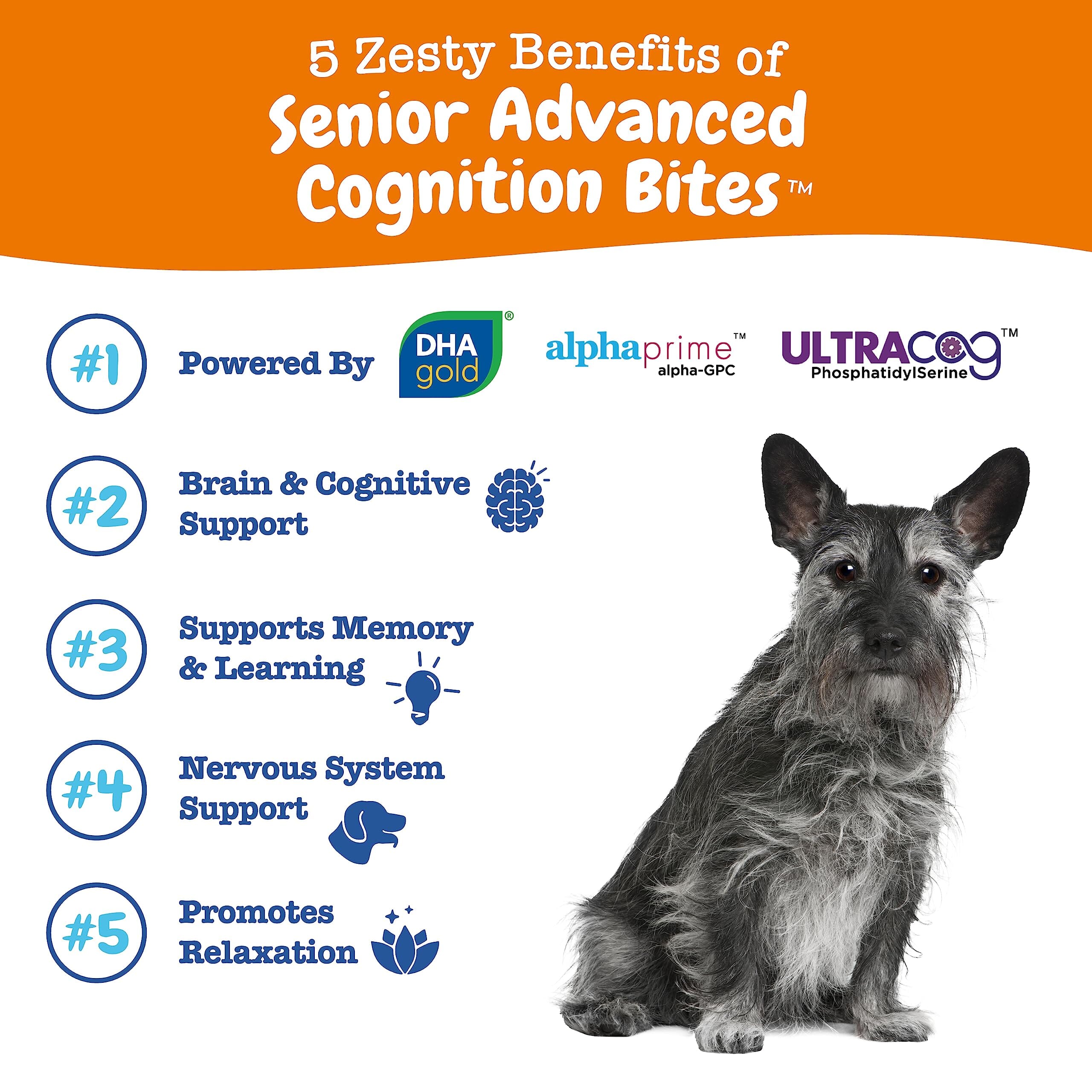 Zesty Paws Senior Advanced Cognition Bites Chicken Flavor Soft Chew Dog Supplements - 90 Count - Image 3