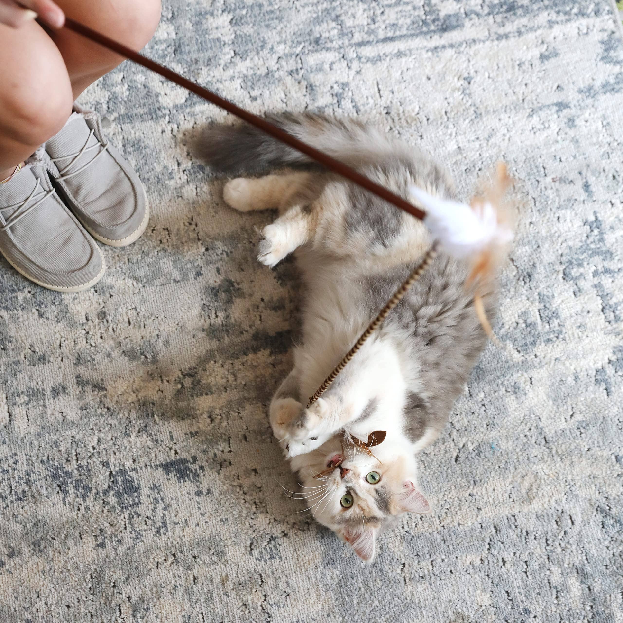 Zippy Paws ZippyStick Unicorn Interactive Catnip Cat Teaser Wand - Small - Image 5