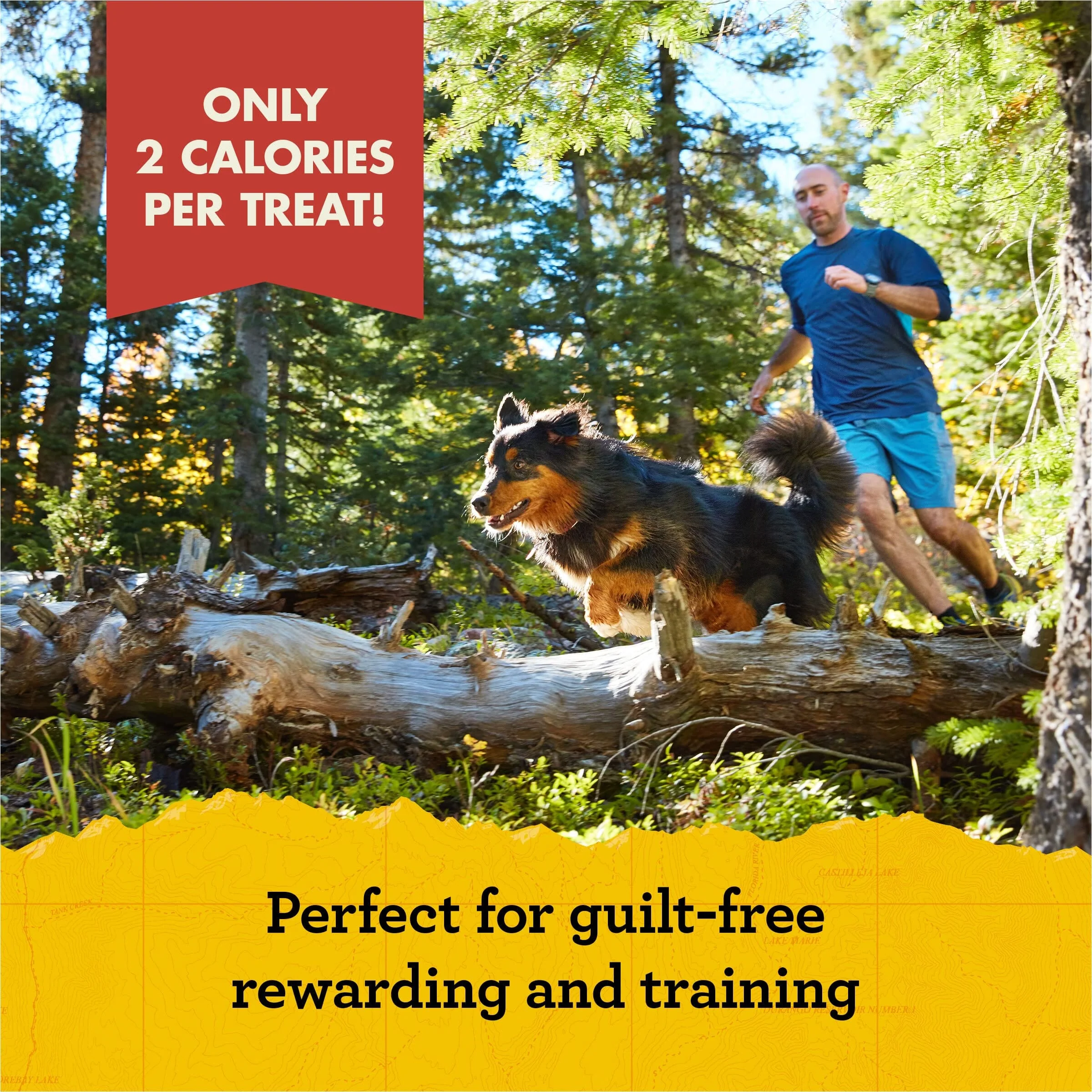 Zukes Mini Naturals Roasted Chicken Training Soft and Chewy Dog Treats - Image 4